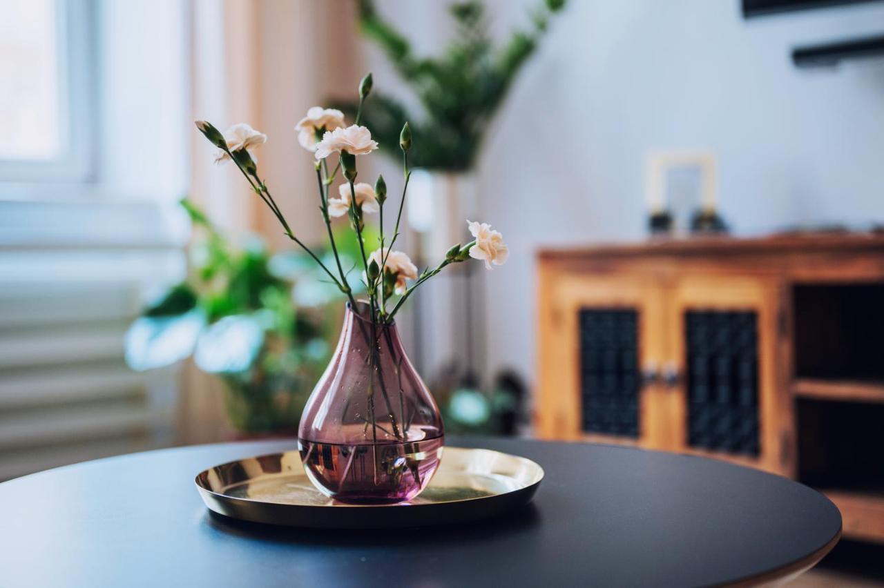 Szpitalna 20 Apartment Nr 8 크라쿠프 외부 사진